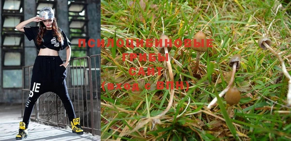 спайс Кулебаки