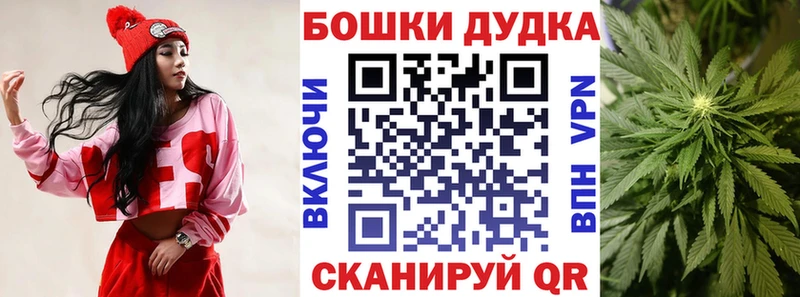 Конопля конопля  Купить закладки  Южно-Сухокумск 